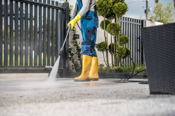 Best Driveway Pressure Washing  in Kutztown, PA